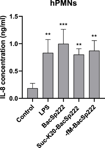 Figure 5 Bacteriocins BacSp222 stimulate IL-8 production by human PMNs. The cells were incubated overnight in control media or in media with LPS, BacSp222, suc-K20- BacSp222, or -fM-BacSp222. The concentration of IL-8 in the culture media was determined by the ELISA assay. The bars represent the mean ± SEM (n=3). ***p<0.001 vs control, **p<0.01 vs control.