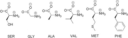 Fig. 1 Chemical structures of the l-amino acids under study.