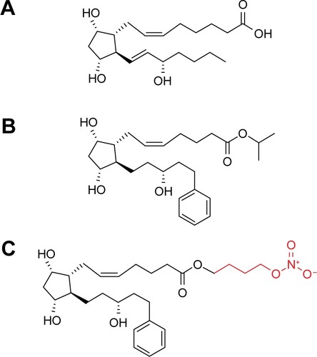 Figure 1 Molecular structures of (A) PGF2α, (B) latanoprost, and (C) LBN.