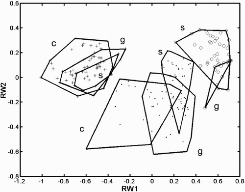 Fig. 31. Relative warp analysis with α = −1, small scale differences weighted more than global ones. Scores of specimens on the first two relative warp axes. Group outliers are connected by lines. (+ = C. meneghiniana, = ‘ambiguous’, ○ = ‘extreme’ morph of C. scaldensis; c = cultures, g = field samples from the River Geeste, s = field samples from the river Schelde.)