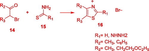 Scheme 4. Synthesis of Thiazolium salts 16.