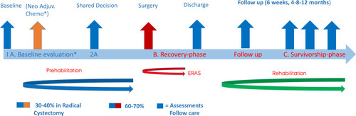 Figure 1 The Bladder Cancer Pathway. * If the patient is not a qualified candidate for neo.adj. chemotherapy the next step will be surgery.