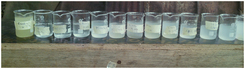 Figure 3. Jar test beakers of treated sullage with different coagulants after an hour.