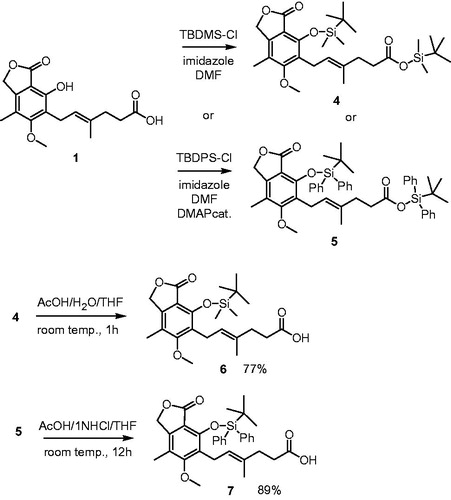 Scheme 1. Synthesis of tert-butyldimethylsilyl ether of MPA 6 and tert-butyldiphenylsilyl ether of MPA 7.