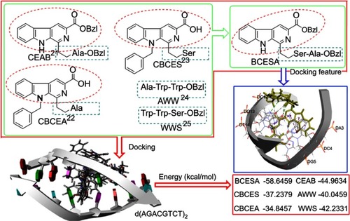 Figure 1 Pharmacophore analysis, CDOCKER energy comparison and docking feature resulted in a national design of BCESA.Abbreviations: BCESA, N-[(3-Benzyloxycarbonyl-β-carboline-1-yl)ethyl]-Ser-Ala-OBzl; CEAB, N-(3-Benzyloxycarbonylcarboline-1-yl)ethylalanine benzylesters; CBCES, N-(9-Benzyl-3-carboxyl-β-carboline-1-yl)-ethyl-serine; CBCEA, N-(9-Benzyl-3-carboxyl-β-carboline-1-yl) ethyl-alanine; AWW, Tripeptide sequence AWW benzyl ester; WWS, Tripeptide sequence WWS benzyl ester.