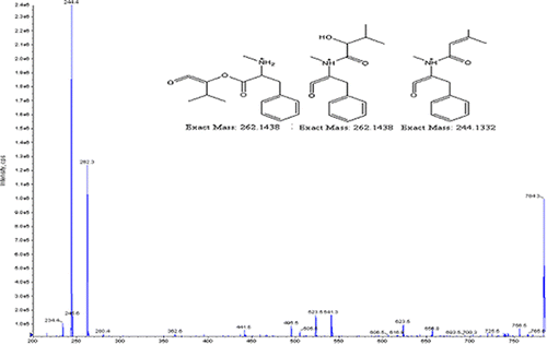 Figure 1.  Full-scan product ion spectra of [M + H]+ and fragmentation pathways for beauvericin.
