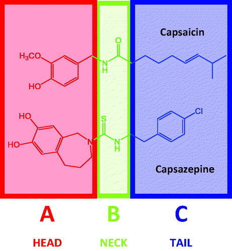 Figure 1. Structures of capsaicin (TRPV1 agonist) and capsazepine (TRPV1 antagonist) and pharmacophoric features.