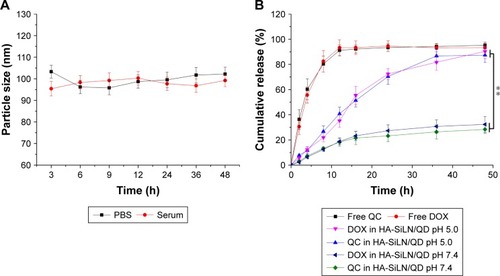 Figure 2 (A) Colloidal stability of HA-SiLN/QD in PBS (pH 7.4) at 37°C for up to 48 hours, (B) drug release profile of free QC, free DOX, and QC/DOX from HA-SiLN/QD in different pH values (7.4 and 5.5) for up to 48 hours.Notes: Data are shown as mean ± SD (n=3). **P<0.01.Abbreviations: DOX, doxorubicin; h, hours; PBS, phosphate-buffered saline; QC, quercetin.
