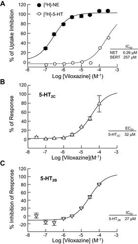Figure 2 Effects of viloxazine on uptake and cellular functional activity in vitro. (A) Dose-dependent inhibition of NET-mediated [3H]-NE uptake (n = 3) measured in rat hypothalamic synaptosomes and [3H]-5-HT uptake (n = 3) measured in HEK293 cells expressing hSERT. (B) Viloxazine activated the response of 5-HT2C (agonist) in a CHO cell-based IP1 HTRF® assay (n = 2). (C) Viloxazine antagonized the activity of 5-HT2B after stimulation with 5-HT in a CHO cell-based IP1 HTRF® assay (n = 2). Data presented as mean ± SEM.
