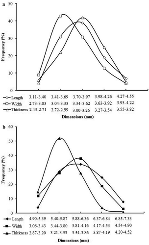 Figure 1. Frequency distribution curves of buckwheat grain dimensions: (a) commercial buckwheat; (b) Güneş variety.Figura 1. Curvas de distribución de frecuencia de las dimensiones de las dimensiones de los granos de trigo sarraceno: (a) trigo sarraceno comercial; (b) variedad Güneş.
