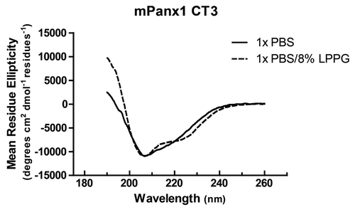 Figure 4. Circular Dichroism (CD) analysis of the mPanx1 CT3 peptide in presence of LPPG. CD spectra of mPanx1 CT3 in 1x PBS (solid line) and in the presence of 8% 1-palmitoyl-2-hydroxy-sn-glycero-3-[phospho-RAC-(1-glycerol)] (LPPG) (dashed line).