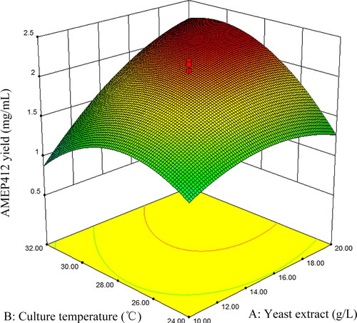 Figure 2. Response surface plot for AMEP412 yield as a function of yeast extract and culture temperature.
