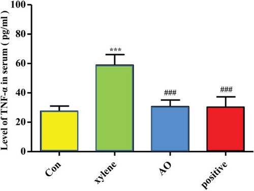 Figure 6. Effect of AO on the level of TNF-α in serum. Data represent the mean ± SD (n = 5). ***p < 0.001 vs Con, ### p < 0.001 vs xylene. Con: Control; AO: Artemisia annua L. essential oil; positive: DSZBC.