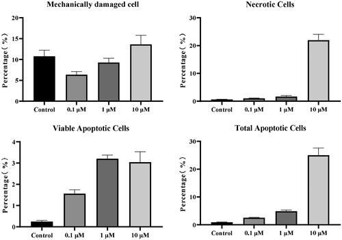 Figure 7. Graph the apoptosis results of B1 by GraphPad Prism: mechanically damaged cell(Q1); necrotic cells(Q2); viable apoptotic cells(Q3); total apoptotic cells(Q2 + Q3).