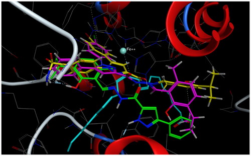 Figure 12. Overlay of compounds 4a (green), 8b (yellow), 8g (pink), and arachidonic acid (cyan) inside the active site of 5-LOX.