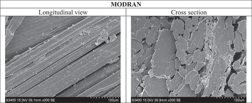 Figure 5. Microphotographs - longitudinal views and cross sections of modran flax fibre.