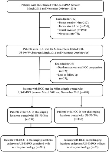 Figure 1. Flow diagram shows study patient accrual process. US-PMWA: ultrasound-guided percutaneous microwave ablation; HCC: hepatocellular carcinoma.