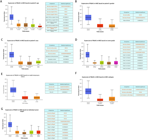 Figure 2 FBLN5 expression in different patient groups. Box plots showed the relationship between FBLN5 expression and parameters including (A) age, (B) gender, (C) race, (D) tumor grade, (E) nodal metastasis status, (F) subtype, (G) cancer stage was analyzed using the UALCAN database.