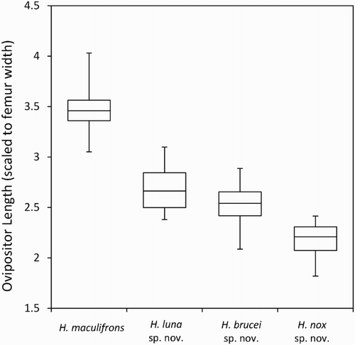 Figure 8. Relative ovipositor length (scaled to femur length) of each species. Boxes indicate the limits of the 25th and 75th percentiles and the median, the whiskers indicate the total data amplitude.