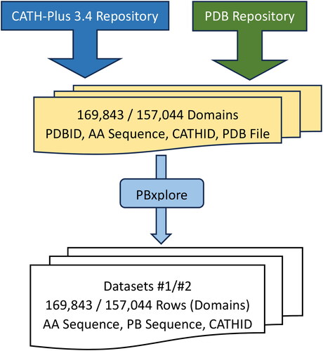 Figure 6. Flowchart of the Process to create both Datasets: 1 & 2 that contain in each row (domain), the Amino Acid Sequence, Protein Block Sequence and the Architecture ID.