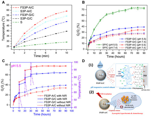 Figure 3 (A) Temperature-variation curves of S, S3P-G/C, FS3P-G/C, S3P-A/C, and FS3P-A/C, solutions during the exposure to an 808 nm laser at a power density of 1.5 W/cm2 for 10 minutes; (B) cisplatin release profiles from SP/C, FS3P-G/C, and FS3P-A/C in PBS at pH 7.4 and pH 5.5; (C) cumulative cisplatin release from FS3P-G/C and FS3P-A/C in PBS at pH 5.5 without and with NIR irradiation (808 nm laser, 1.5W/cm2) for 10 minutes; the dotted lines shown in (C) indicate the temperature change of in-vitro solution induced by the irradiation of NIR light for 10 minutes; (D) mechanism of stimuli pH/NIR responsive controlled release from FS3P-G/C (1) and FS3P-A/C (2).