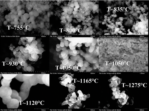 FIG. 4 SEM pictures of the soot layers deposited at various target temperatures.