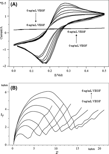 Figure 7. Cyclic voltammograms (A) and impedance spectra (B) obtained for different concentrations of VEGF.