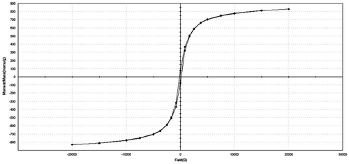 Figure 11. Magnetization curves of porous glass–ceramic containing 20% RH and sintered at 1000 °C for 1 h.