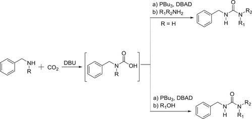 Scheme 123. Synthesis of carbamic acids and urea.