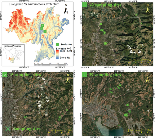 Figure 1. Location and sampling sites (96 study sites located in 3 areas) in Liangshan Yi Autonomous Prefecture. The background DEM map used in the upper left map is from ASTER GDEM 30M. The other three maps (1, 2, and 3) used World_Imager from the Environmental Systems Research Institute (ESRI) as the background map.