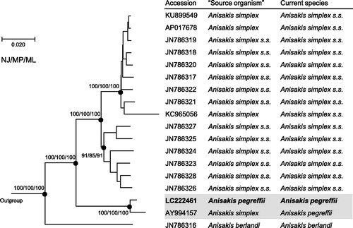 Figure 1. Phylogenetic relationships of the three sibling species of the A. simplex species complex (A. simplex sensu lato) inferred from the complete mitogenome analysis using NJ (K2P model), MP and ML (GTR + I + G model) methods each with 1000 replicates of bootstrap (100 replicates for ML). There were a total of 13,457 positions in the dataset. The tree shown is an NJ tree, and the ML and MP trees were almost the same topology. Bootstrap support values are shown for the major nodes. The three species, Pseudoterranova decipiens sensu lato Germany, Toxocara canis, Ascaris suum (accession numbers: KU558723, AP017701, X54253, respectively) were used as outgroup. ‘Source organism’ is that in GenBank.