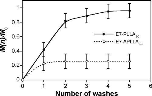Figure 3 Protein release experiment.Notes: E7-PLLAsc and E7-APLLAsc suspensions were centrifuged and rinsed in phosphate-buffered saline five times. The released E7 was quantify in the supernatant after each rinse step. The y axis reports the cumulative quantity of E7 released with respect to that initially adsorbed on the PLLA substrates. The x axis indicates each single wash step. The values are the mean of three determinations.Abbreviations: PLLA, poly(l-lactide); E7-PLLAsc, E7-containing poly(l-lactide) single crystals; E7-APLLAsc, E7-containing amino-functionalized poly(l-lactide) single crystals.