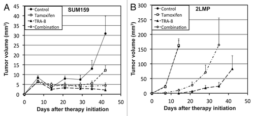 Figure 4. Change of TNBC tumor volume during TRA-8 and/or tamoxifen therapy. (A and B) Animals were orthotopically implanted with (A) SUM159 (4 million) or (B) 2LMP (1 million) cells. Therapy started at 3 d after cell implantation with tamoxifen (400 mg/kg diet), TRA-8 (0.1 mg, weekly, i.p.), and combination, respectively, for 3 wk (0–21 d), and no drugs were given thereafter.