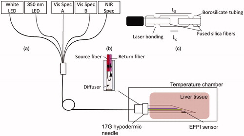 Figure 1. Schematics of the experimental setup: (a) the integrated DRS system and experiment setup for measuring the local optical properties and temperature of porcine liver tissues during heating; (b) the self-calibration channel and (c) the EFPI temperature sensor.