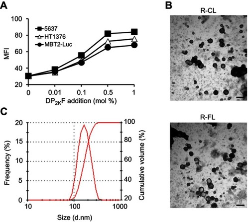 Figure 2 Characterization of prepared liposomes.Notes: (A) Optimization of ligand density of R-FL evaluated by flow cytometry. Liposomes were loaded with DiI for MFI quantification. (B) Transmission electron microscopy images of liposomes. Scale bar indicates 200 nm. (C) Size distribution of R-FL by frequency. Data represent the means ± SD (n=3).Abbreviations: MFI, mean fluorescence intensity; DP2KF, distearoylphosphatidylethanolamine-polyethylene glycol2000-folate; R, rapamycin; R-CL, rapamycin-loaded conventional liposome; R-FL, rapamycin-loaded folate-modified liposome.