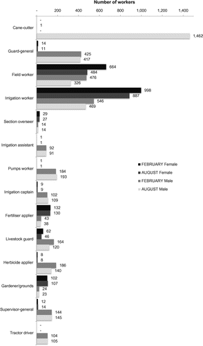 Figure 3. Employment distribution by gender and season, 2014. Source of data: Açucareira de Xinavane, 2014.