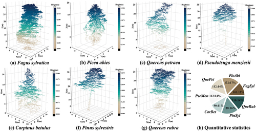 Figure 2. Seven kinds of tree species used in the experiment. (a) Fagus sylvatica; (b) Picea abies; (c) Quercus petraea; (d) Pseudotsuga menziesii; (e) Carpinus betulus; (f) Pinus sylvestris; (g) Quercus rubra; (h) quantitative statistics of all species (number of experimental samples : proportion).