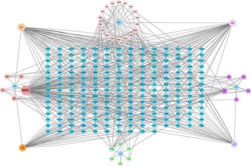 Figure 1. Ingredient-target network for the XBJ injection. HH denotes the active ingredient of Carthami Flos; CS denotes the active ingredient of Paeoniae Radix Rubra; CX denotes the active ingredient of Chuanxiong Rhizoma; DS denotes the active ingredient of Salviae Miltiorrhizae Radix et Rhizoma; G1 and G2 denote the active ingredients of Carthami Flos, Paeoniae Radix Rubra and Angelicae Sinensis Radix; C1 denotes the common active ingredient of Carthami Flos and Paeoniae Radix Rubra; D1 denotes the common active ingredient of Carthami Flos and Salviae Miltiorrhizae Radix et Rhizoma; blue diamonds represent the targets