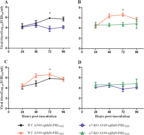 Fig. 6 Replication kinetics of the recombinant viruses in wild-type (WT) and importin-α7 knockout (α7-KO) A549 cells.Cells were inoculated with the recombinant viruses at 37 °C, and culture supernatants were harvested at 0, 24, 48, 72 and 96 h post-inoculation (hpi). Virus titers were determined on MDCK cells. a Growth curves of the rgHuN-PB2701D viruses in WT (black, filled diamonds) and α7-KO (blue diamonds) A549 cells; b Growth curves of the rgHuN-PB2701N viruses in WT (red, filled triangles) and α7-KO (green triangles) A549 cells; c Growth curves of the rgHuN-PB2701D viruses (black, filled diamonds) and the rgHuN-PB2701N viruses (red, filled triangles) in WT A549 cells; d Growth curves of the rgHuN-PB2701D viruses (blue diamonds) and the rgHuN-PB2701N viruses (green triangles) in α7-KO A549 cells. The results are presented as the means ± SD of three repeated experiments. *P < 0.05