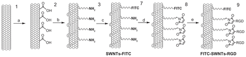 Figure S2 Synthesis route of SWCNT-FITC 7 and FITC-SWCNT-RGD 9 conjugates. (a) HNO3, 24 hours; (b) H2N-PEG-NH2, EDC, NHS, 0.1 M PBS, pH 7.4; (c) FITC, DMF, dark; (d) SMCC, DMSO; (e) RGD-SH, 0.1 M PBS.Abbreviations: FITC, fluorescein isothiocyanate; RGD, cyclic arginine-glycine-aspartic peptide; SWCNT, single-walled carbon nanotubes; SMCC, succinimidyl 4-[Nmaleimidomethyl] cyclohexane-1-carboxylate; DMSO, dimethyl sulfoxide; PBS, phosphate-buffered solution; EDC, 1-ethyl-3-(3-dimethylamino-propyl) carbodiimide; PEG, polyethylene glycol; DMF, dimethylformamide.