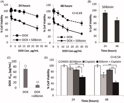 Figure 3. Synergistic anticancer effects of silibinin and DOX in MDA-MB-435/DOX cells. (A) Growth inhibitory effects of DOX in combination with 200 μM concentration of silibinin measured by MTT. (B) Growth inhibitory effects of silibinin alone at 200 μM concentration. (C) The effects of silibinin on IC50 of DOX in MDA-MB-435/DOX cells. (D) The growth inhibitory effects of cisplatin alone or in combination with silibinin at 200 μM concentration in MDA-MB-435/DOX cells.