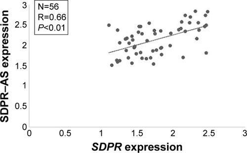Figure 2 Expressions of SDPR-AS and SDPR are positively correlated.