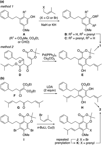 Scheme 1. Previous methods to install the C3-prenyl substituent of 1 (a) and C3- and C5-prenyl groups of 2 (b).