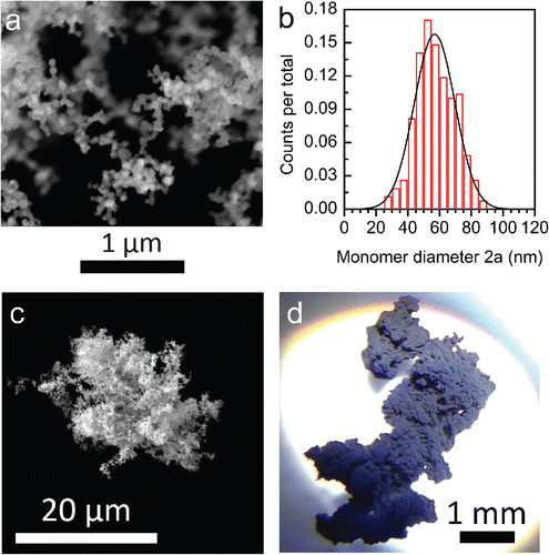 Figure 3. Morphologies of BOF produced soot (sets E1 and E2) at three different length scales. (a) SEM image showing the shape of the soot monomers. (b) The probability distribution of the monomer diameter 2a. Columns (red) represent the normalized counts of monomers within each size bin having a width of 5 nm. The solid line represents a Gaussian fit that peaks at 60.2 nm. (c) SEM image showing the soot morphology at micrometer scale. (d) Optical microscope image showing soot morphology at millimeter scale.