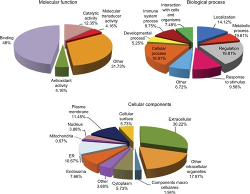 Figure 2 Percentage of serum proteins identified from albumin and immunoglobulin G depleted serum by LC–MSE for patients with type 1 diabetes and healthy controls based on their molecular function, biological process, and cellular components.