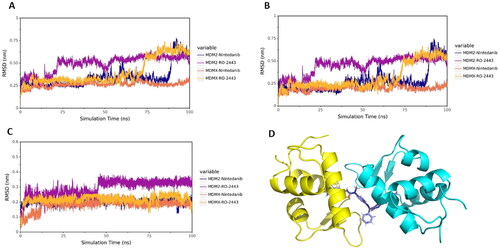 Figure 5. MD simulation analysis by GROMACS. (A) The protein backbone RMSD of proteins in complex with different ligands. (B) The protein backbone RMSD of proteins. (C) The protein backbone RMSD of ligands. (D) The binding mode of MDM2 with nintedanib (purple). For explicitly, one molecule of nintedanib was presented. The two chains of MDM2 were shown as yellow and cyan ribbon, respectively.