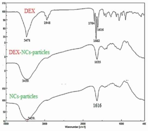 Figure 4. FT-IR Spectroscopy of DEX (Figure 4a), NCs (Figure 4b), and DEX-NCs (Figure 4c) particles