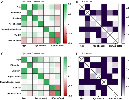 Figure 2 Heat map of correlation analysis about the characteristics and RBANS score for male and female schizophrenia. (A). Spearman correlation analysis about demographic and clinical characteristics and RBANS total score in male group; (B). P-value of correlation analysis about demographic and clinical characteristics and RBANS total score in the male group; (C). Spearman correlation analysis about demographic and clinical characteristics and RBANS total score in the female group; (D). P-value of correlation analysis about demographic and clinical characteristics and RBANS total score in female group.