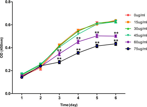 Figure 1 Effects of different concentrations of rifapentine on the proliferation curve of BMSCs.