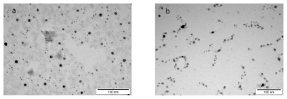 Figure 1 TEM image of nanoparticles manufactured by electric non-explosive method: a) gold b) platinum.